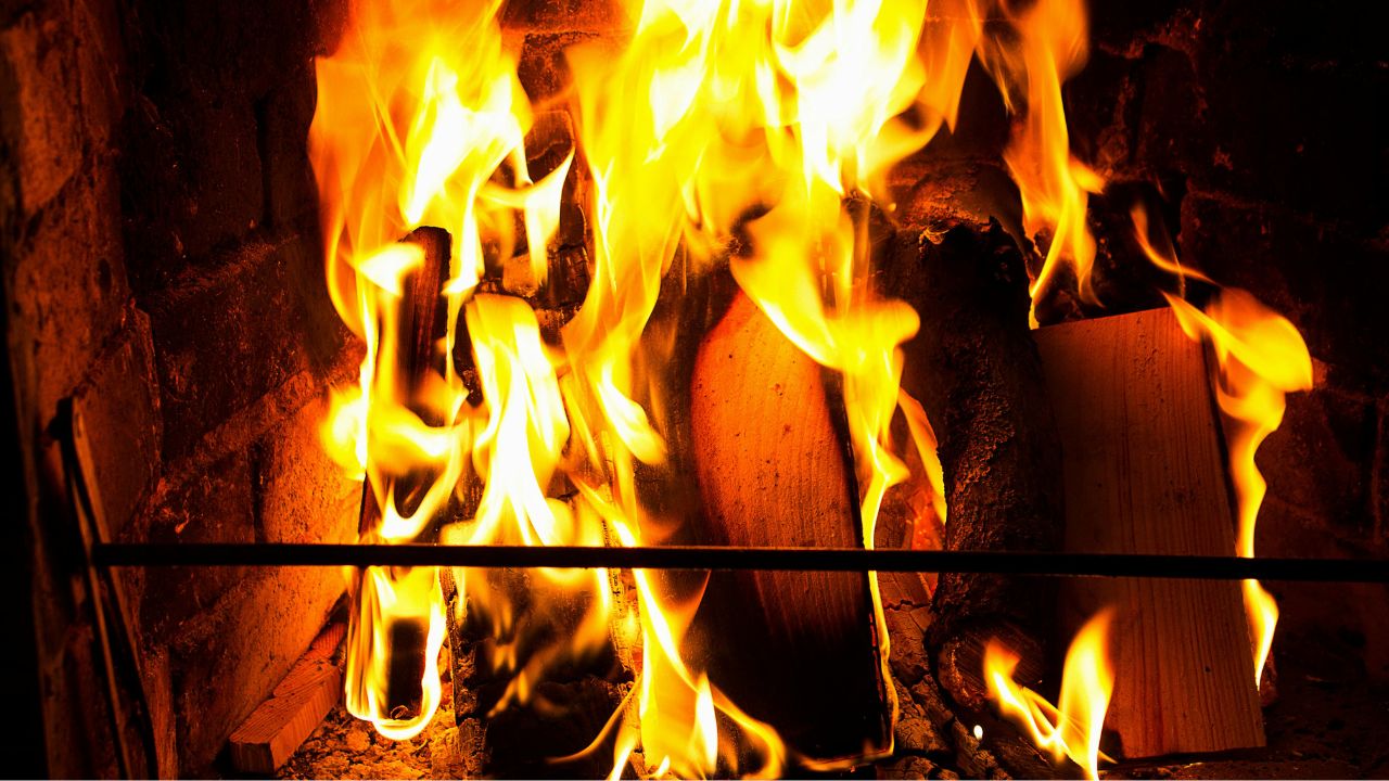 The Best Woods to Burn in Your Fireplace for Maximum Efficiency